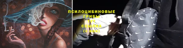 амф Магадан