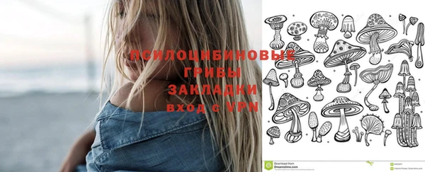 гидропоника Абаза