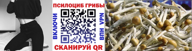 hydra сайт  Златоуст  мориарти формула  Псилоцибиновые грибы Psilocybine cubensis 
